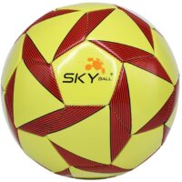 SKY5394 - BOLA DE FUTEBOL N5 455G COURO LISA OFICIAL